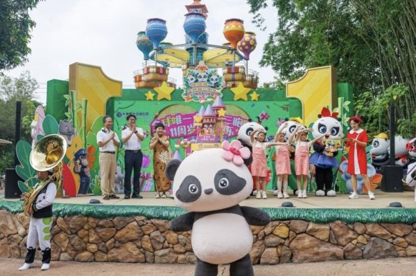 配资安全指数网 生日快乐！全球唯一大熊猫三胞胎“萌帅酷”11周岁啦