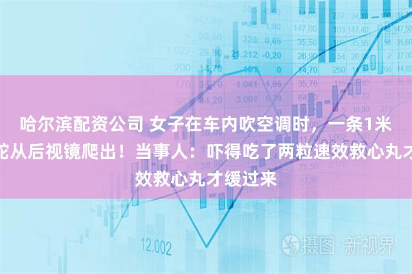 哈尔滨配资公司 女子在车内吹空调时，一条1米多长的蛇从后视镜爬出！当事人：吓得吃了两粒速效救心丸才缓过来